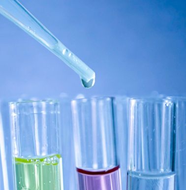 公司高度重視研發(fā)，有多個處于中試階段的項目